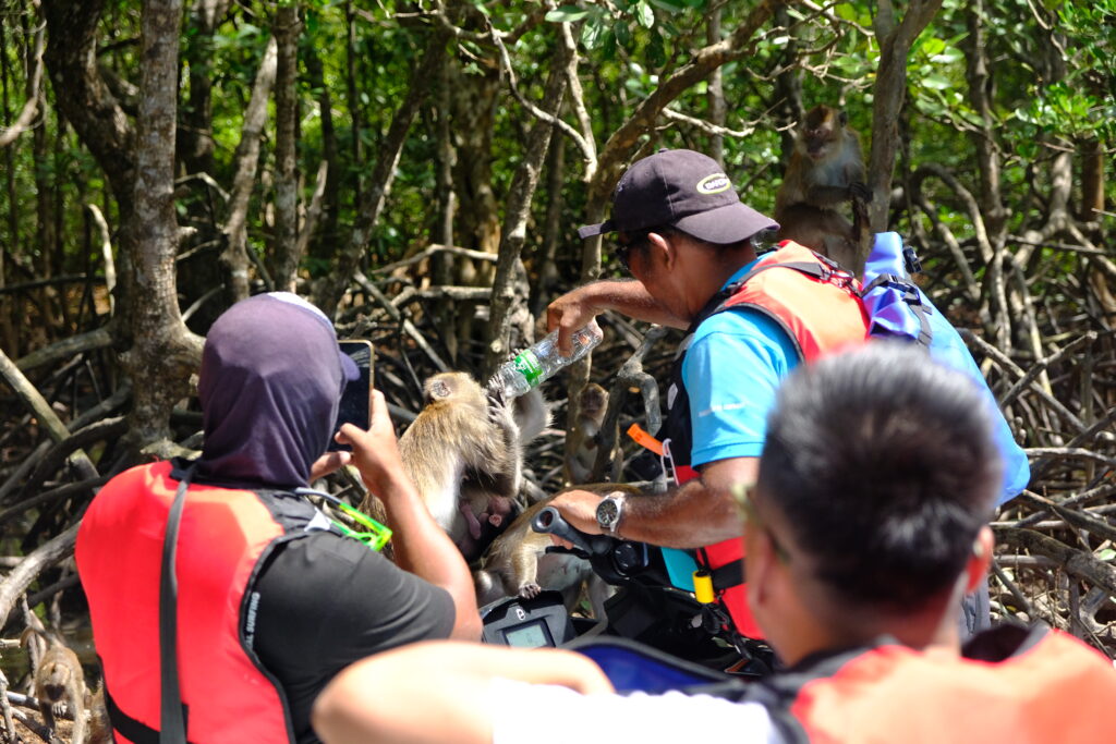 jet ski langkawi tour mangrove 2