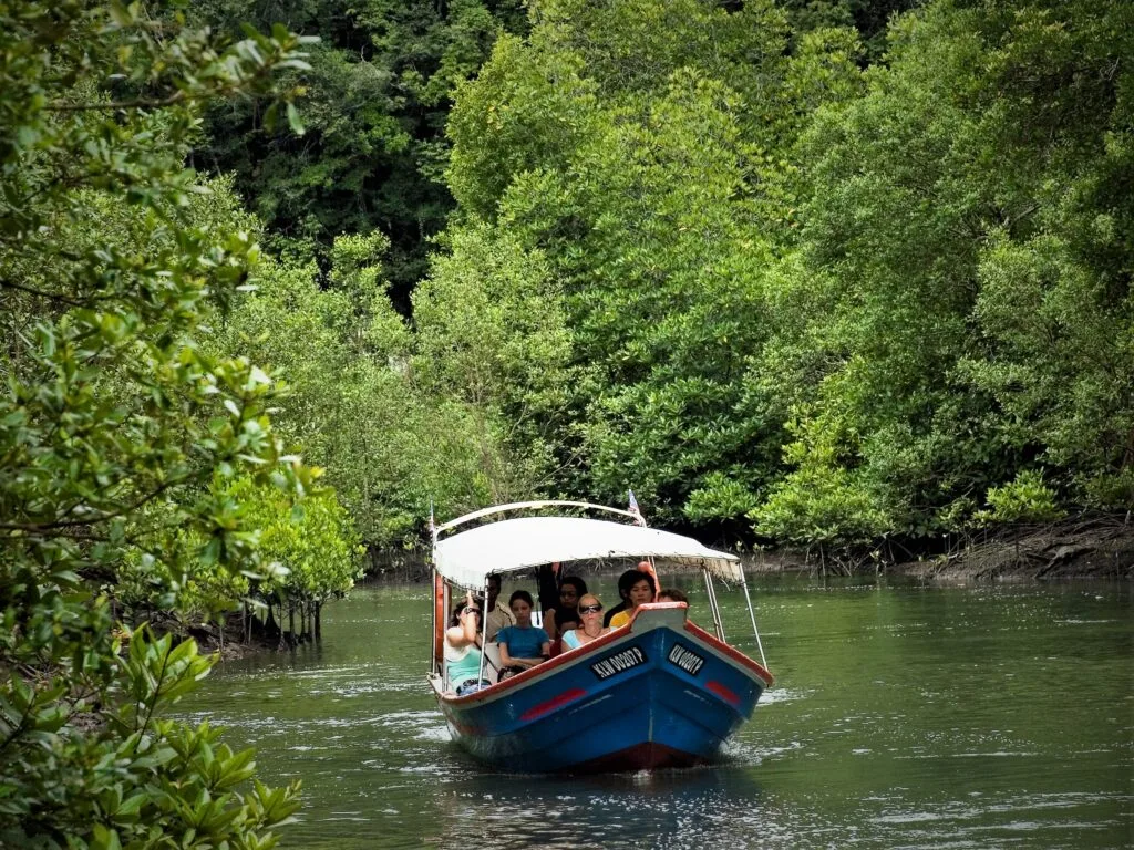 mangrove tour langkawi