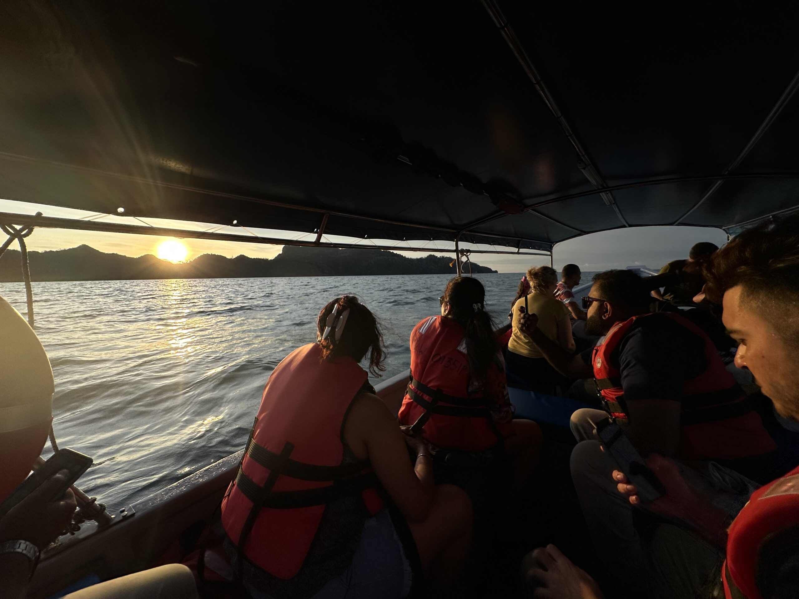 Mangrove Sunset