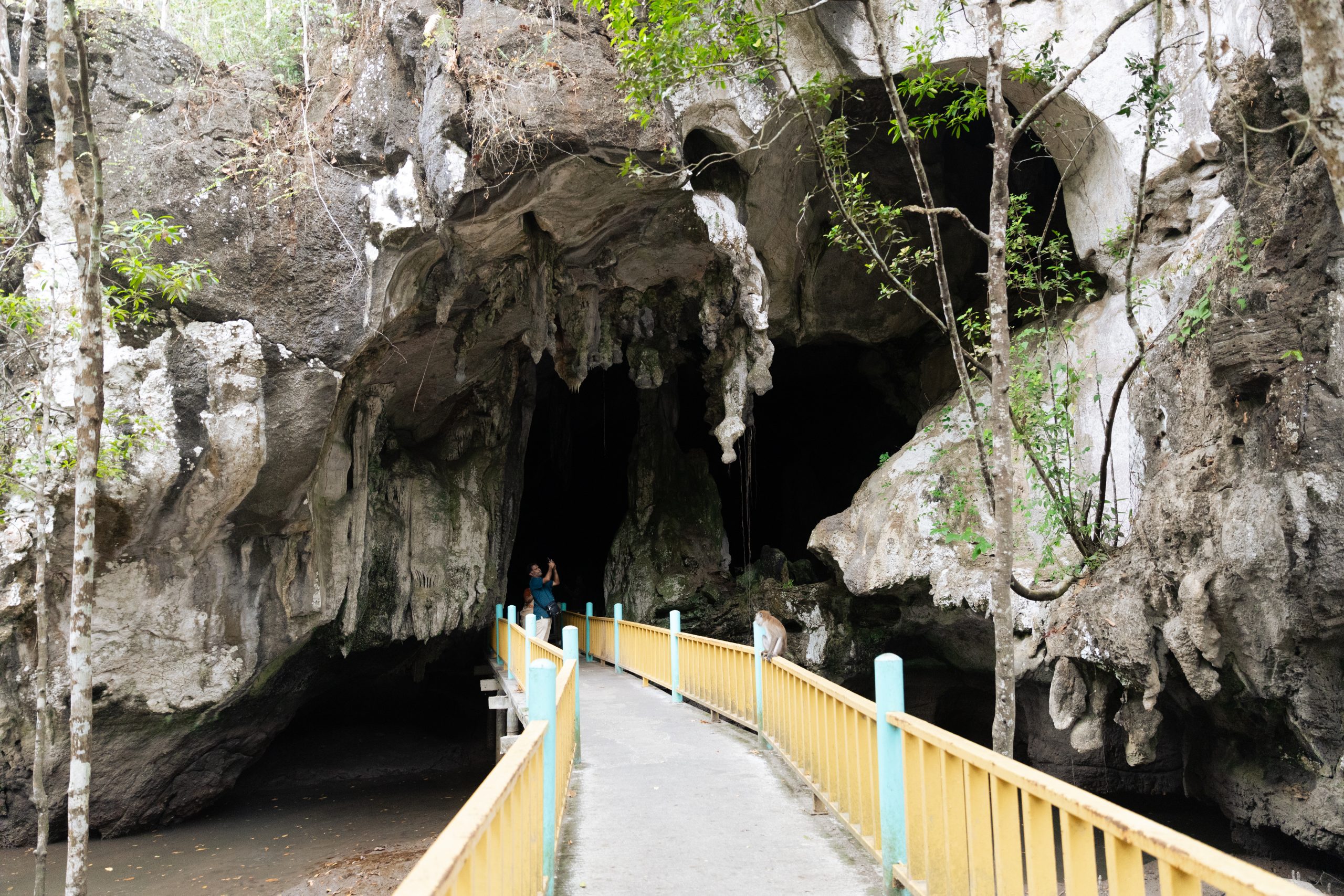 Bat Cave Langkawi Mangrove Geoforest Park