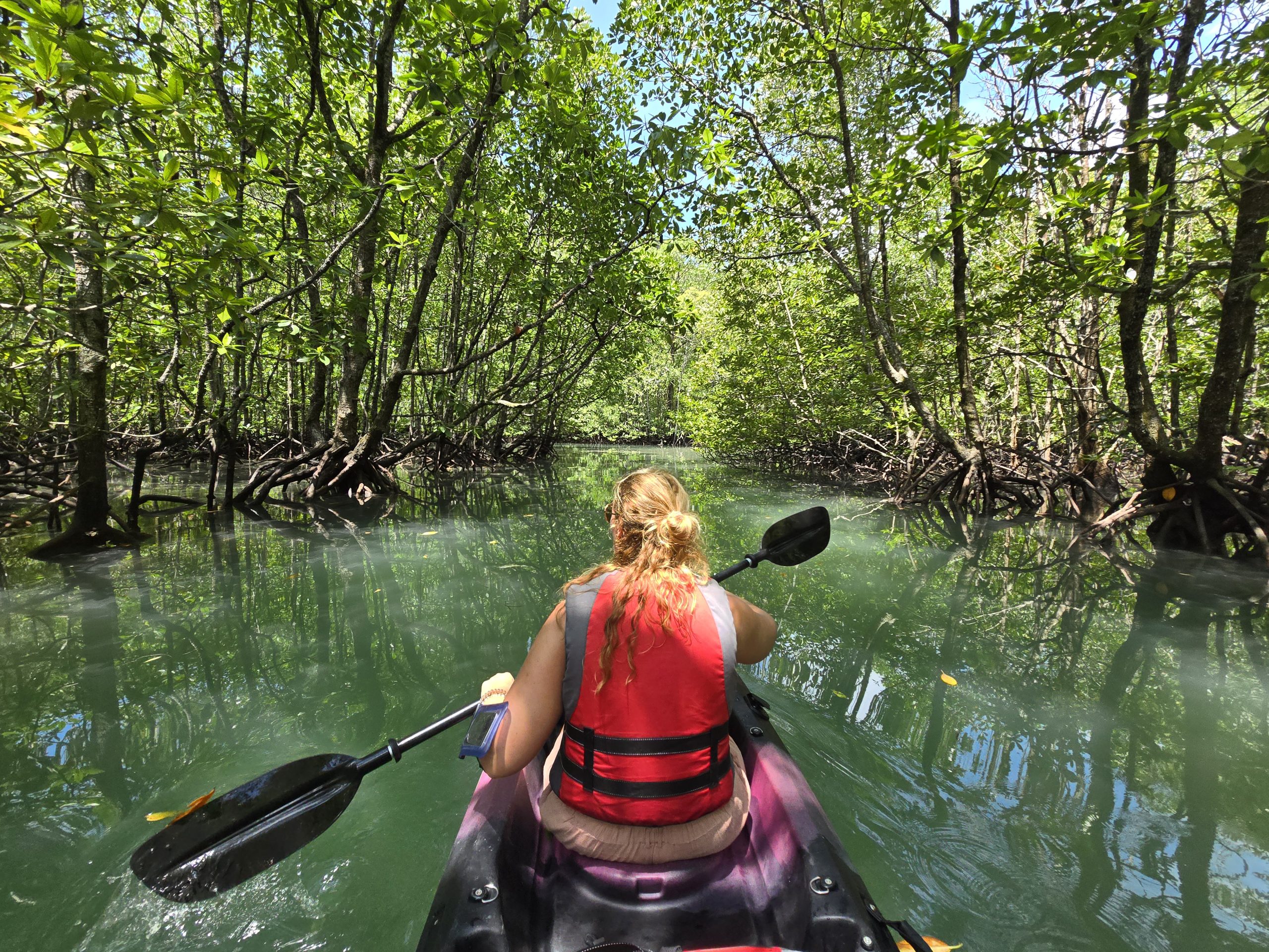 Kayak Exploration