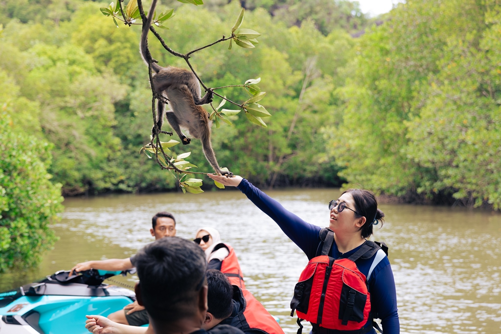 Mangrove Jet Ski Tour