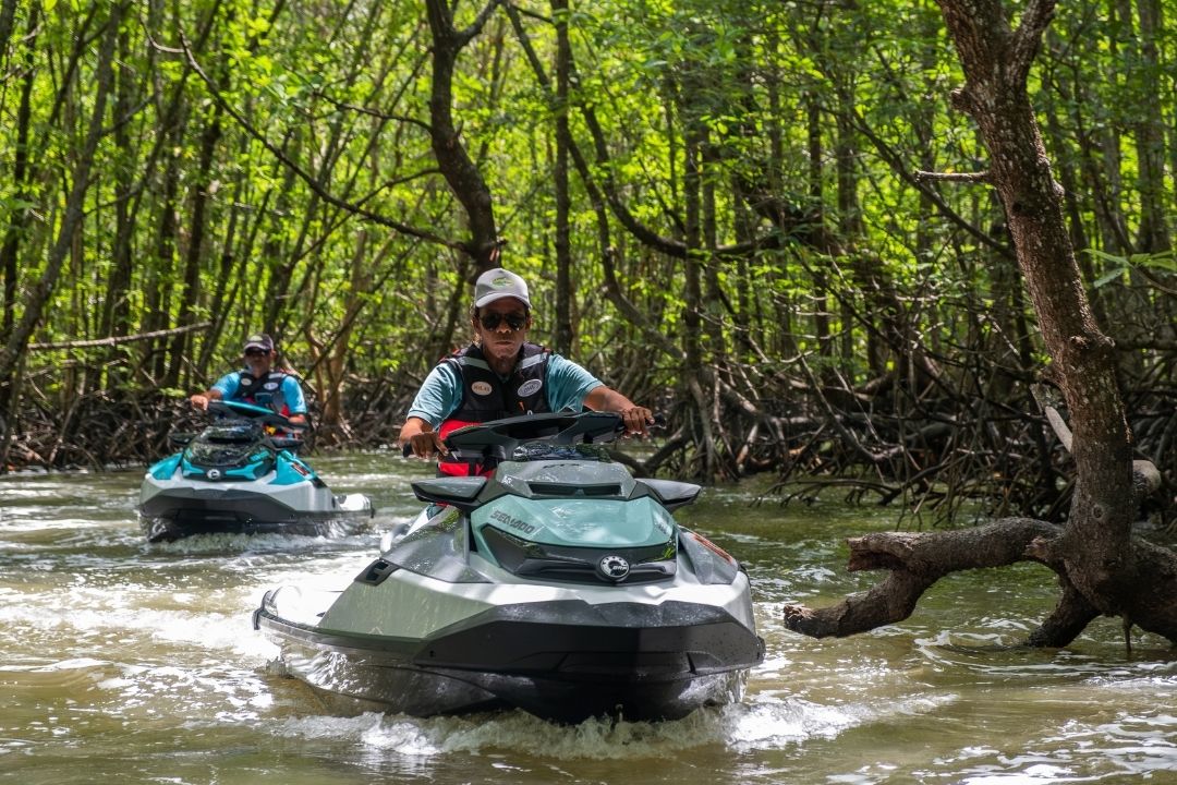 Mangrove Jet Ski Tour